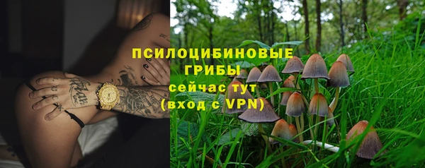 стаф Заволжск