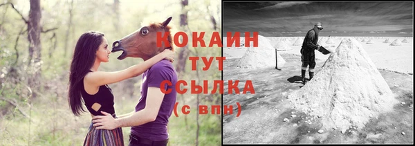 mdpv Заводоуковск